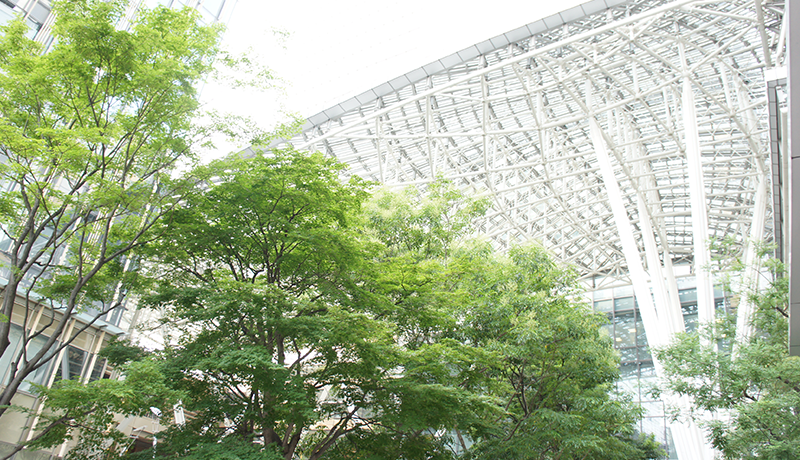 bogou登录下载官网 リポート第2弾は「Penryn」「Nehalem」をカバーしよう